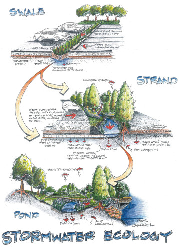 Stormwater Garden Concept